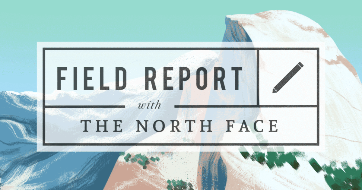 the north face fr